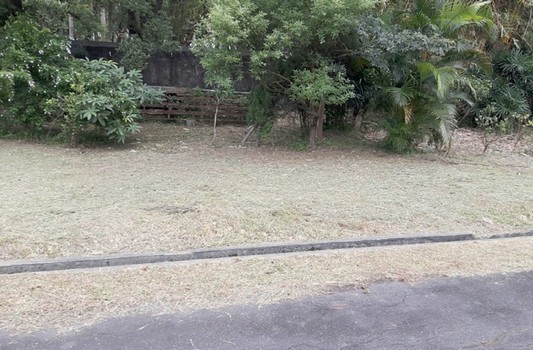 高雄鳥松區鋪草皮，高雄鳥松區除草，高雄鳥松區割草